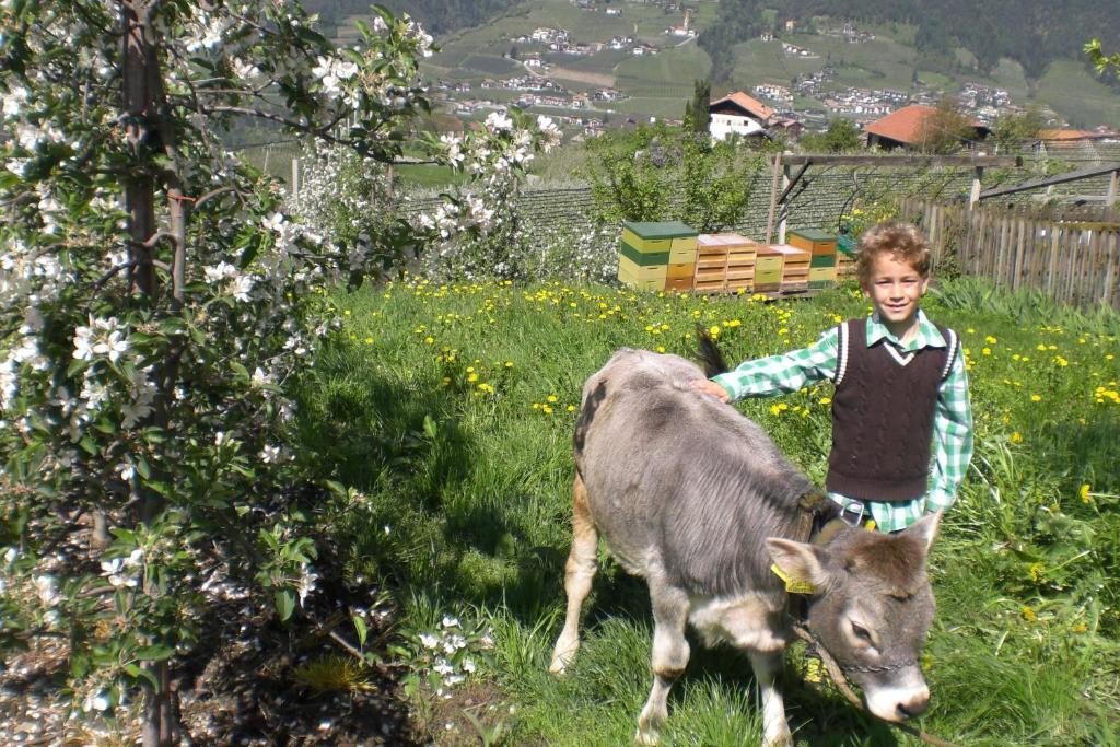 Krebishof Agriturismo Шена Екстер'єр фото